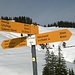 Wegweiser bei Grossi Honegg - P. 1390 m.