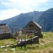Der Garten Eden