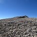 34 Man kann es kaum glauben, daß die Grohmannspitze ein so großes Gipfelfeld aufweist.