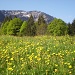 Der Sommer ist nun wirklich angekommen