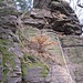Kletterstelle mit leichtem Überhang am kleinen namenlosen Fels (I).