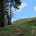 aahhhh....das Furggelenstock-Gipfelkreuz in Sicht