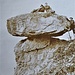 Sasso del Fungo (o Tavola di Santa Caterina) in una foto d'epoca tratta dal libro "Valcuvia massi erratici" delle guide Macchione