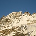 Wer sieht den Adler auf dem Gross Bielenhorn 3210m?