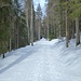 danach folgt man leicht ansteigend dem Forst- und Wanderweg (Plöckensteinerseeweg) zur Grenze nach Tschechien