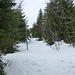 im oberen Bereich, dort wo die großen Bäume für die Wegmarkierungen fehlen, gibt es Schneestangen zur Orientierung und Wegfindung.