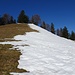 Am Südhang des Alplispitz ist der Schnee schon fast weggeschmolzen