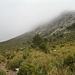 Im Prat-Tal oberhalb der Baumgrenze. Das Wetter ist ungemütlich und der Puig de Massanella rechts ist noch in den Wolken.