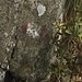 Segnaletica sbiadita
