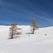 wunderbares Wintergelände