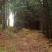 Über schöne Waldwege geht es Richtung Kreuzsattel