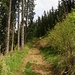 ...weiter geht der Weg Richtung Almkogel