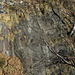 Altro tratto attrezzato: il cavo si vede poco e ancora di meno gli intagli nella roccia che consentono un transito agevole