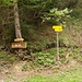 Hier kann man weiter auf die Kotzalm wandern bzw. weiter bis Dionysen (kleiner Ort kurz vor Bruck/Mur)