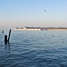 L'Isola di San Michele.