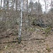 Kovářský vrch, Tagebau/Steinbruch an der Südseite, untere Ebene