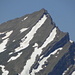 Der Speer. Der höchste Nagelfluhberg der Alpen (!)