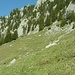 Trimlenhorn