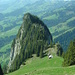 Chienhorn