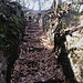 Camminamenti Linea Cadorna del Monte Grumello