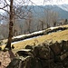Muretti in pietra all'Alpe Cima.