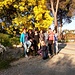 Una delle tante, tantissime mimose in fiore......con le donne del gruppo. In tutto eravamo in 18: una "combinata" CAI Brugherio e CAI Ponte San Pietro