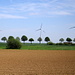 Windräder und Biogasanlage vor Ahrenfeld
