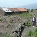 Das Vulkangestein wird hier auf der Insel für den Hausbau verwendet
