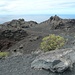 Der nächste Krater wartete schon, der Volcan de Teneguia