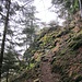 Viel Grün und viele Felsen prägen die bewaldeten Steilhänge, was uns etwas überrascht hat