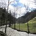 Nachdem wir bei der Pfaffmühle den Talboden erreichten hatten, verlief der Wanderweg entlang der Wilde Gutach das Tal hinaus