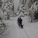 Winter wonderland I <br />(Picture taken during ski tour to Andesite Peak on March first 2019)