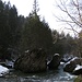 Riesige Felsbrocken verengen den Flusslauf beim Sihlsprung.