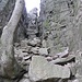 Blick von unten in die Bismarkschlucht, vom Einsiedlerpfad aus gesehen. Überall zwischen den Felsen gibt es große knorrige Bäume wie den links im Vordergrund.