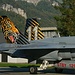 F/A-18, J-5011 mit dem Logo der hier beheimateten Fliegerstaffel 11, der «Tiger» Staffel.