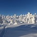Lappland pur