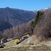 bei Biancaresc