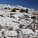 Nurra sas Palumbas - Offenbar haben wir nicht die dümmste Route gewählt, denn wir erreichen den Wanderweg (Scala 'e Pradu - Lanaitho) praktisch direkt am Wegweiser Nurra sas Palumbas (1.220 m). Die tiefen Löcher befinden sich ein Stück oberhalb...