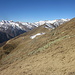 L'Alpe Campo 1737 mt (raggiungibile mediante ottimo sentiero) invece io risalgo il pendio liberamente.