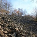 Hradiště Jazyk/Stengelberg, Blockfeld<br />Die mächtigen Blockhalden umschließen den Berg fast vollständig und werden von Forschern als Mauerreste der einstigen Befestigungsanlage gedeutet.
