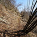 schöner Wanderweg