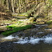 viel Wasser