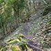 Wanderweg durch die Flühen