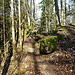 Wanderweg durch die Flühen