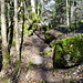Wanderweg durch die Flühen