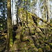 Mannheimer Felsen