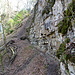 Wanderweg durch die Flühen
