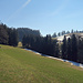 schönsten Frühlings-Wanderwege im Appenzellerland 