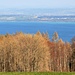 Am Dorfrand von Mutrux II