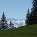 Panorama von der Alp Birchboden